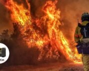 wildfires-emergency-firefighters-WoodsCan-Hornet-Rechargeable-Air-Horn
